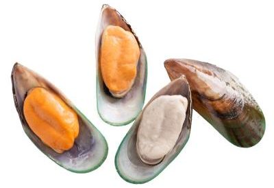 Greenshell Mussel New Zealand