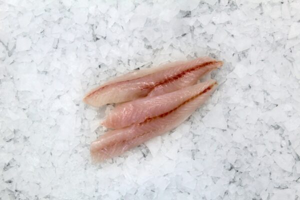 Gurnard Fillets