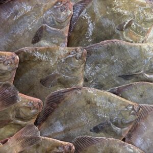 Whole Sand Flounder B grade