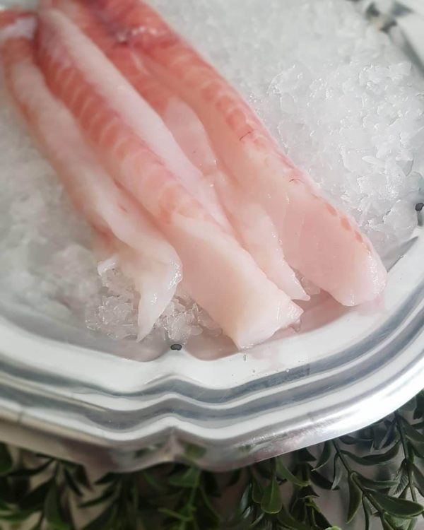 Monkfish Fillet