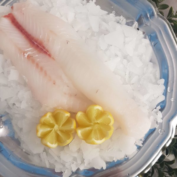Ribaldo Fillet