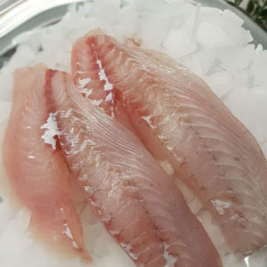 Snapper fillets