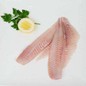 Tarakihi fillets