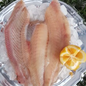 Turbot Fillet