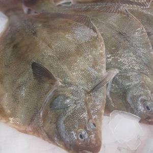 Whole Sand Flounder - 2 for $10.00