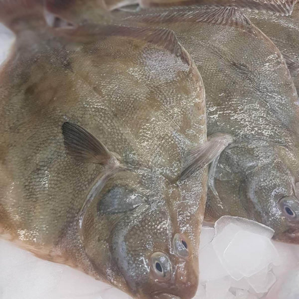 Whole Sand Flounder - 2 for $10.00