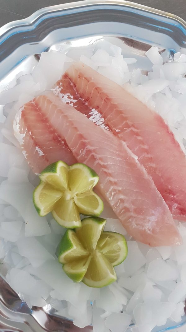 Sea Perch Fillet