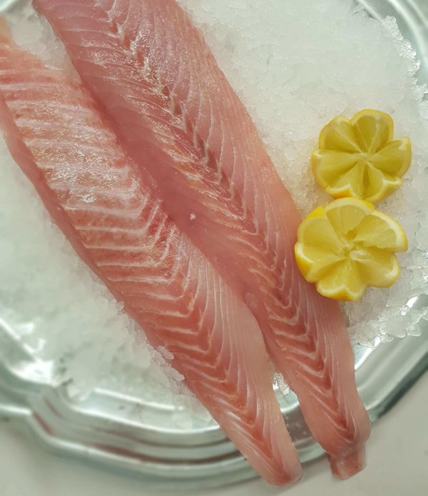Trumpeter Fillet