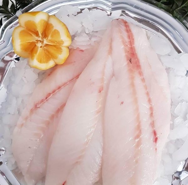 Orange Roughy Fillet
