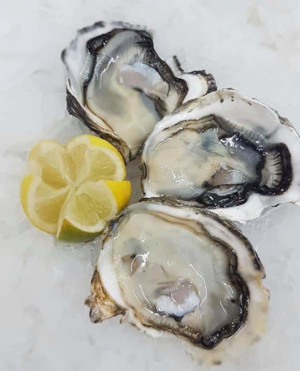 Marlborough 1/2 shell Oysters