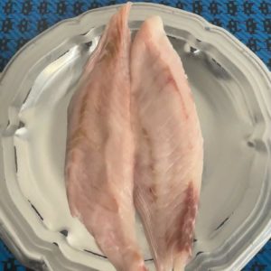 White Warehou Fillet