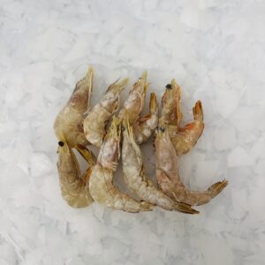 Australian Banana Prawns Loose- Frozen