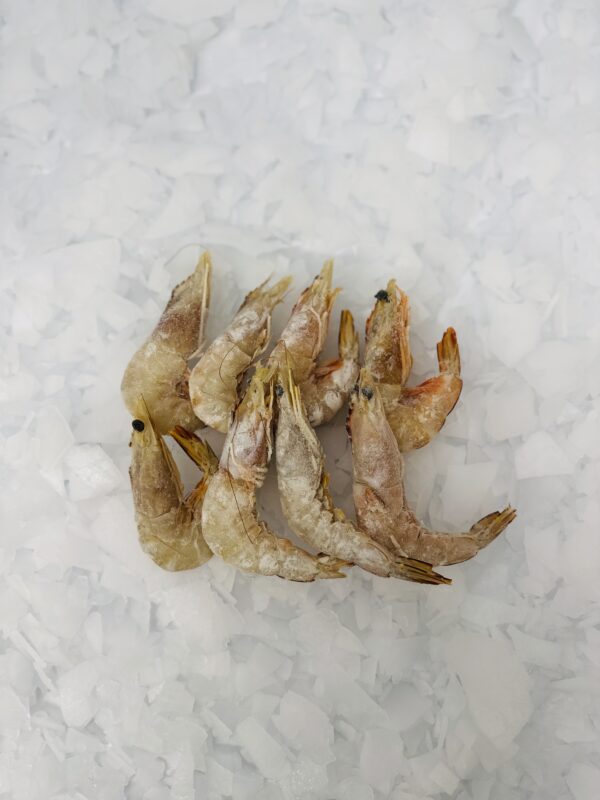 Australian Banana Prawns Loose- Frozen