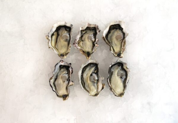 Clevedon Coast 1/2 Shell Pacific Oyster