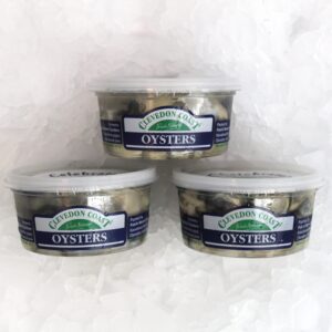 Clevedon Coast - Fresh Oyster Meat Pottle