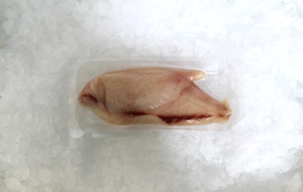 Talley's - Blue Warehou Fillet Skin-Pack Tray - approx. 300g - Frozen