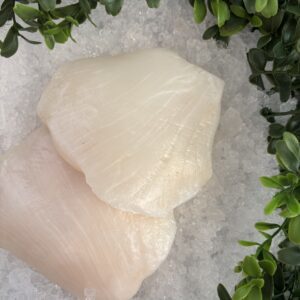 Antarctic Toothfish Cheeks - Frozen